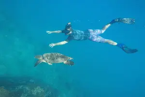 Tour image of Snorkeling Tour in Caño Island with Lunch from Drake Bay