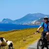 Image of Mountain Bike Tours