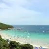 Image of Glass Bottom Boat Tours