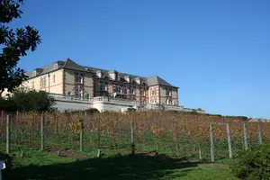 Tour image of 6-Hour Private Wine Country Tour of Napa in Lincoln MKT Limo (up to 8 people)