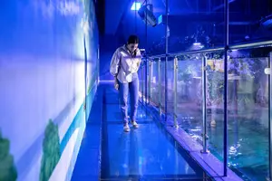 Tour image of The National Aquarium Abu Dhabi Admission Tickets