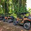 Image of Nature and Wildlife Tours