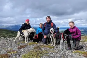 Tour image of Half Day Guided Walk with Huskies