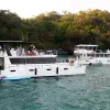 Image of Coffee Cruises