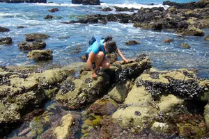 Tour image of Oregon Coast Tour from Portland