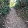 Image of Hiking Tours
