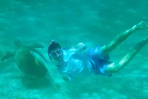 Tour image of Snorkeling, Swim with Turtles & Beach Day