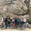 Image of Hiking Tours