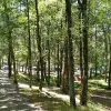 Image of Obstacle Courses