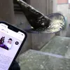 Image of Scavenger Hunts