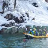Image of Wildlife Encounters