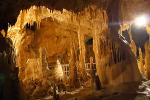 Tour image of The Bear's Cave - One-Day Air conditioned car Tour from Oradea