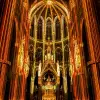 Image of Light & Sound Shows