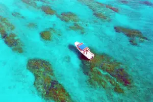 Tour image of Half Day Amami Japan Boat Snorkeling Adventure