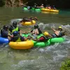 Image of Swimming