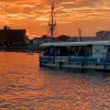 Image of Catamaran Cruises