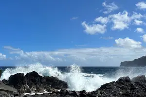 Tour image of PRIVATE Shore Excursion - 'Best of Hilo and Hamakua coast