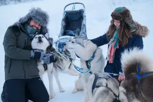 Tour image of Free Pickup/Drop off: Alaskan Husky Dog Sledding with Free Photo