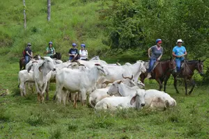 Tour image of Rancho Típico Don Juan, Horseback Riding tour