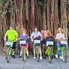 Image of Mountain Bike Tours