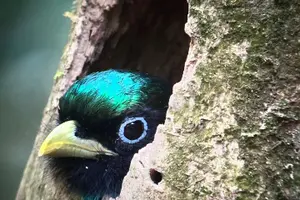 Image of Costa Rica