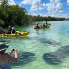 Image of Water Equipment Rentals