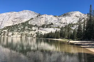 Tour image of Private High Country Fly Fishing Adventure