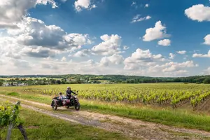 Tour image of Half day tour on sidecar from Tours