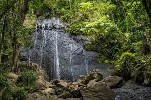 Tour image of El Yunque Private Bus Tour