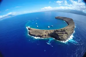 Tour image of Molokini Snorkeling Adventure Aboard Calypso From Ma'alaea Harbor