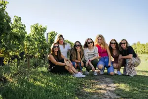 Tour image of Bordeaux Super Saver Wine Tasting class and St Emilion region