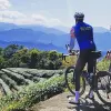 Image of Bike Rentals