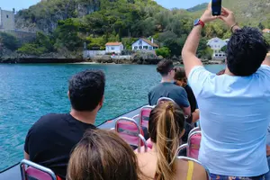 Tour image of Dolphin watching in Setúbal