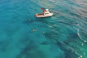 Tour image of Florida Keys Eco Tour: Snorkel, Kayak, Lunch + Transportation!