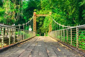 Tour image of Coastal Tour of Trinidad