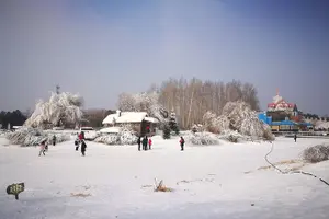 Tour image of Small Group Tour to Harbin Volga Manor with Entrance Fee and Lunch