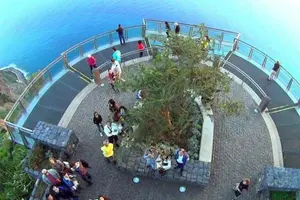 Tour image of Skywalk with Wines Tasting and Vineyards Half day 4x4 Adventure