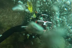 Tour image of Lisbon: Try Scuba Diving in Arrabida Marine Reserve with photos