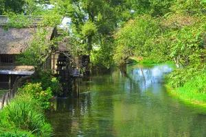 Tour image of Azumino Full Day Cycling Tour
