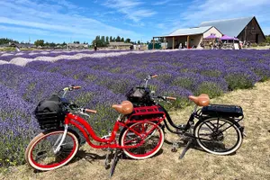 Tour image of Electric Bike Ride on the Olympic Discovery Trail
