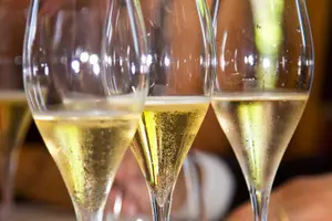 Tour image of Alsace Full Day Wine Tour from Colmar