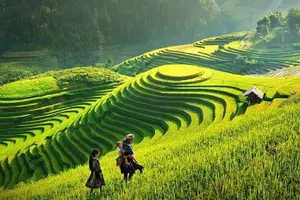 Image of Vietnam