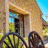 Image of Food Tours