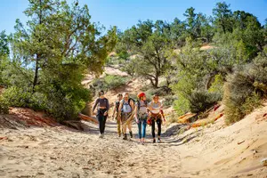 Tour image of East Zion: Coral Sands Half-day Canyoneering Tour