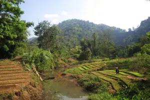 Tour image of Full Day Crossing the Bolaven Plateau