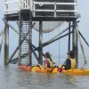 Image of On the Water