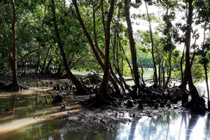 Tour image of Local Island Day Trip from Hulhumale