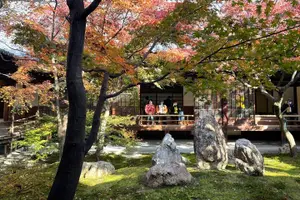 Tour image of [W/Lunch] Kyoto Highlights Bike Tour with UNESCO Zen Temples