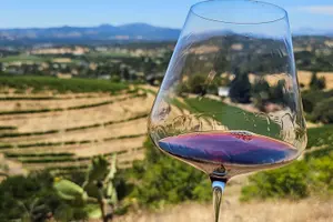 Tour image of Private Sprinter Tour of Napa Valley