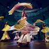 Image of Belly Dance Shows